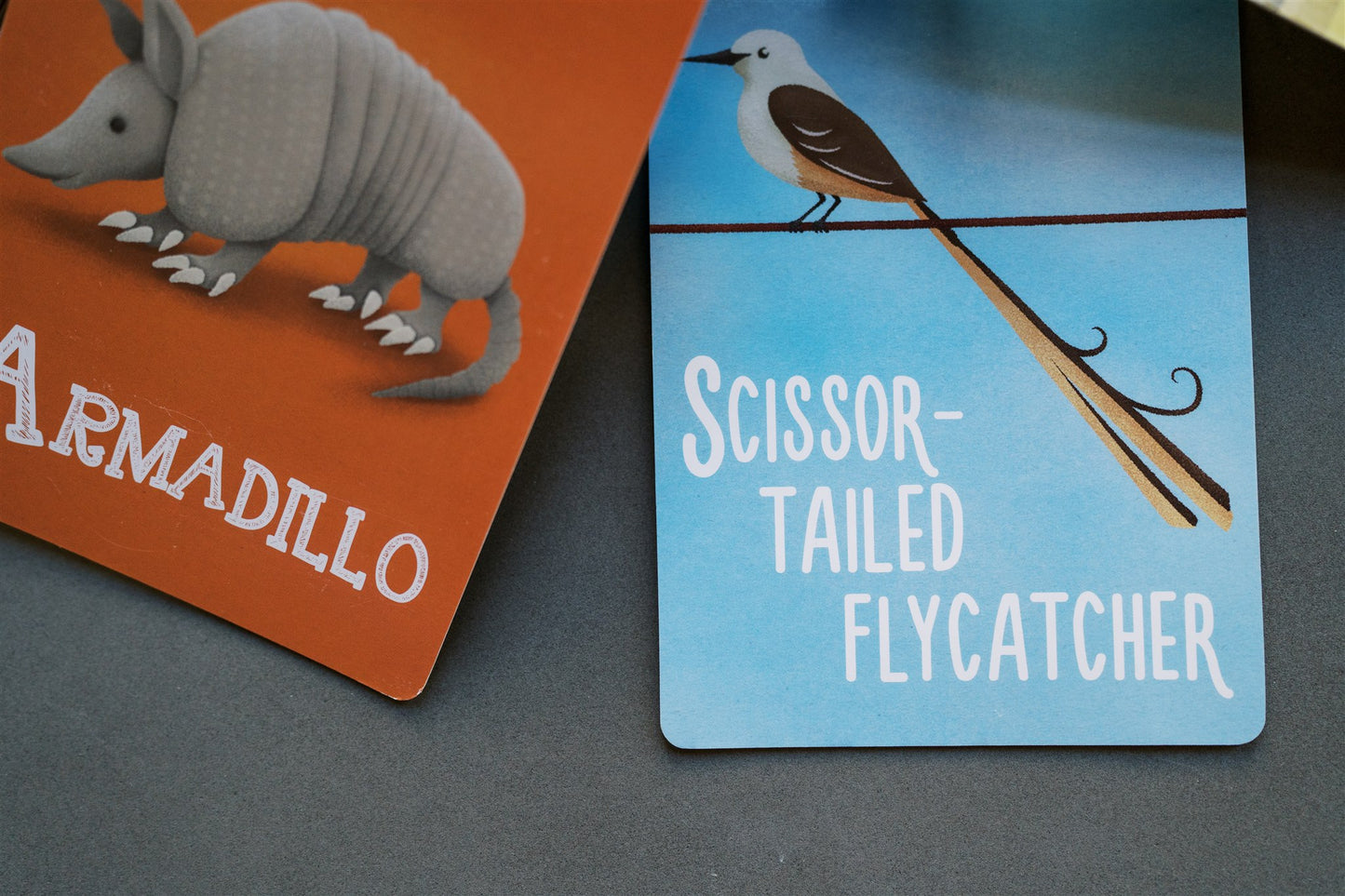All About Oklahoma Flash Cards