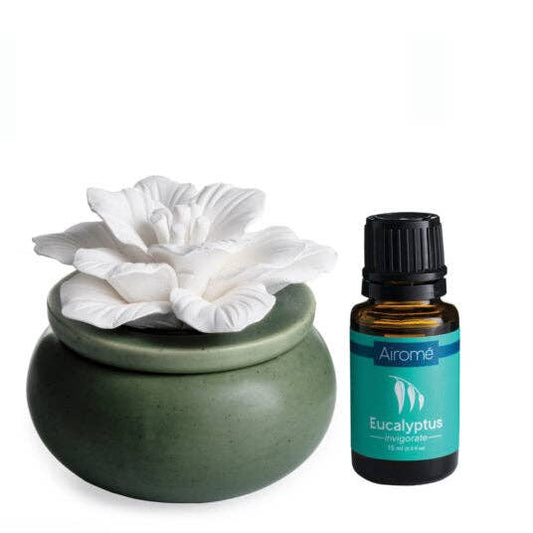 'Bloom' Diffuser - w/ 15 ML Eucalyptus