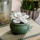 'Bloom' Diffuser - w/ 15 ML Eucalyptus