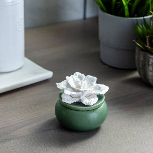 'Bloom' Diffuser - w/ 15 ML Eucalyptus