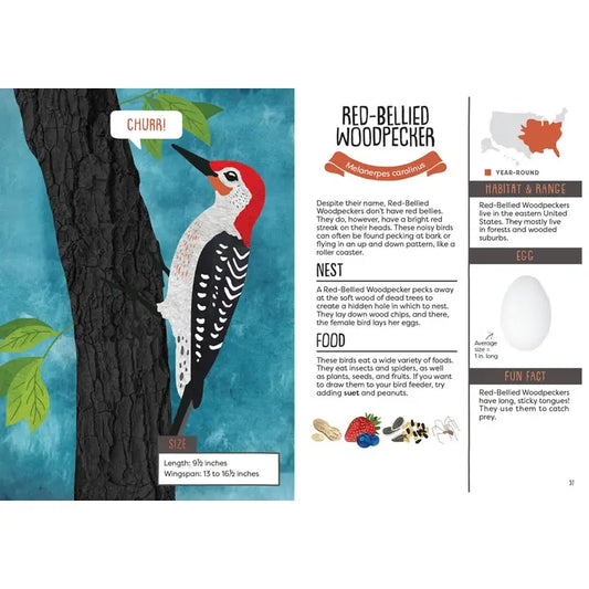 A Kid's Guide to Backyard Birds