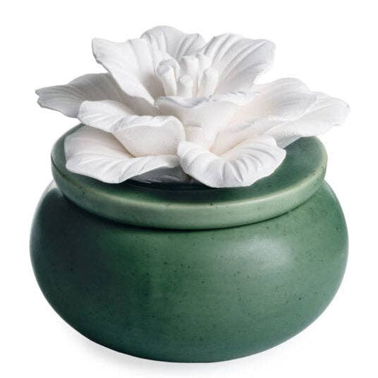 'Bloom' Diffuser - w/ 15 ML Eucalyptus