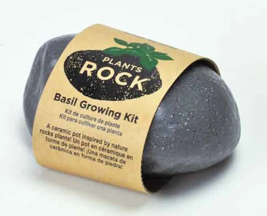 Plants Rock - Basil Growing Kit