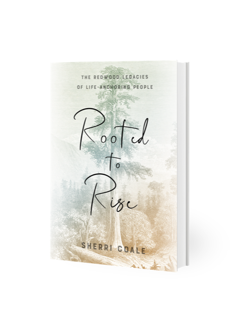 Rooted to Rise - Sherri Coale